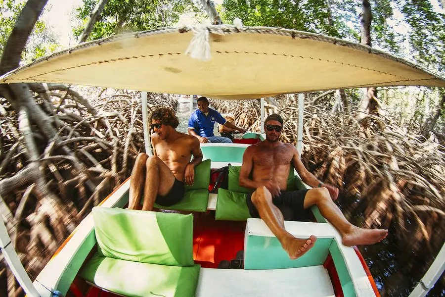 The crew in the mangroves