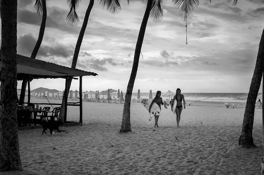 Palm-lined beach, Margarita