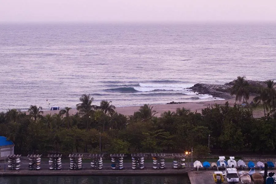 Evening lineup, Parguito